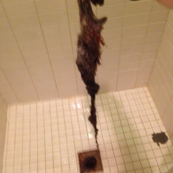 The Drain Guy - Clog pulled out of a shower drain. - Plumbing Near Me - Cambridge, Massachusetts