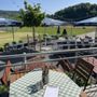Photo of Gasthaus Seebachblick