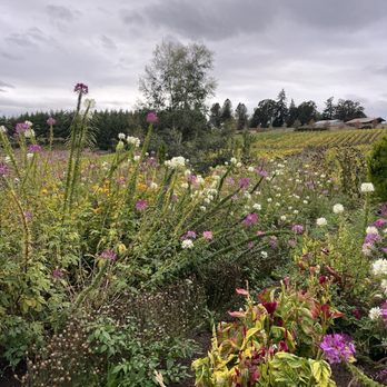 Domaine Divio - Wine Tasting Room Near Me - Newberg, Oregon