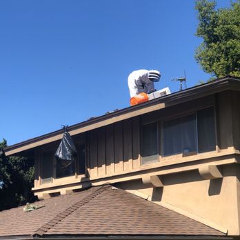 Budget Bee Services - Removal thru the roof - Pest Control Near Me - Granada Hills, California Budget Bee Services - Removal thru the roof - Pest Control Near Me - Granada Hills, California