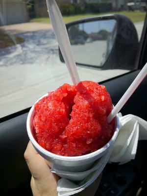 Bedford Snoball by null