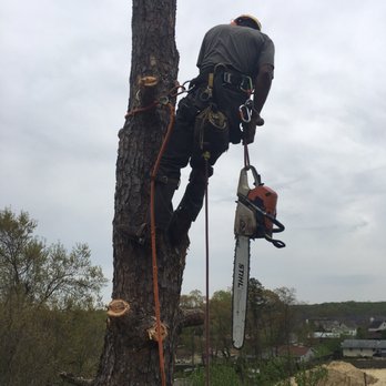 Outdoor Exposure - a man cutting a tree with a chainsaw - Crane Services Near Me - Thomasville, North Carolina Outdoor Exposure - a man cutting a tree with a chainsaw - Crane Services Near Me - Thomasville, North Carolina