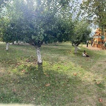 Old World Apples - Pick Your Own Farms Near Me - Ridgefield, Washington