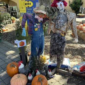 Alden Lane Nursery - Nurseries & Gardening Near Me - Livermore, California