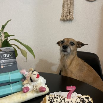 Three Dog Bakery - Pet Stores Near Me - Fort Worth, Texas