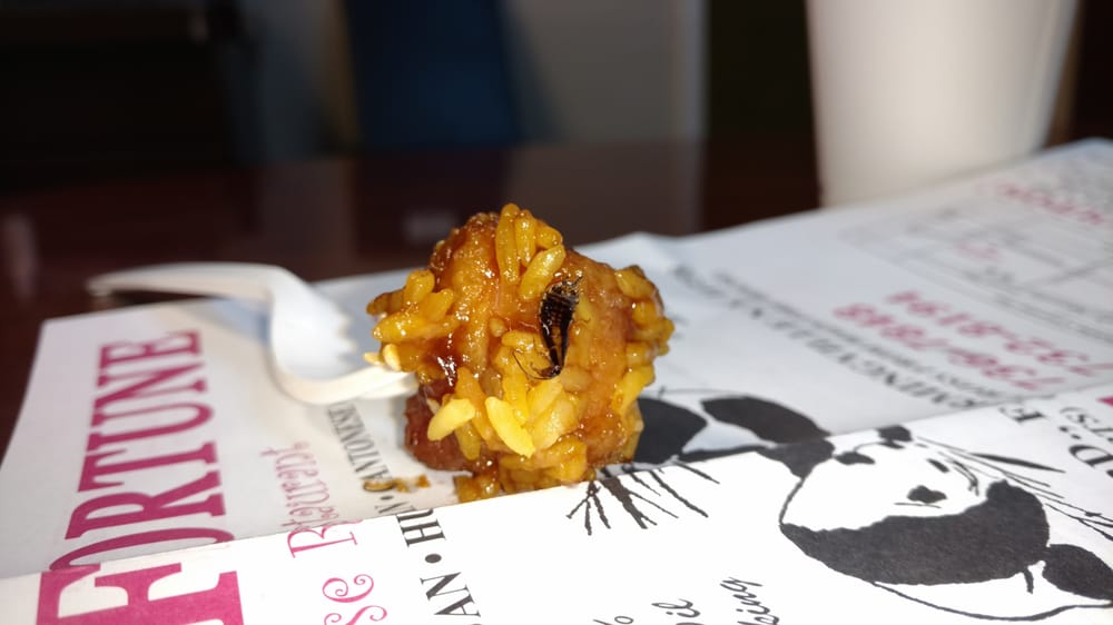 LUCKY FORTUNE KITCHEN Updated October 2024 20 Reviews 759