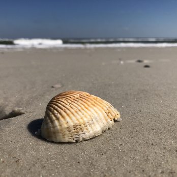 Little Talbot Island State Park - Beach - Beaches Near Me - Jacksonville, Florida Little Talbot Island State Park - Beach - Beaches Near Me - Jacksonville, Florida
