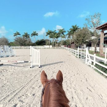 Elysian Stables Miami - Horseback Riding Near Me - Miami, Florida Elysian Stables Miami - Horseback Riding Near Me - Miami, Florida