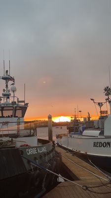 Project Barley Taps and Grill by null