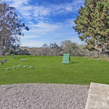 Seagate Condominium Rentals - Off Leash Dog Park - Apartments Near Me - Carlsbad, California Seagate Condominium Rentals - Off Leash Dog Park - Apartments Near Me - Carlsbad, California