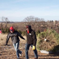 Ottman Family Christmas Trees - We offer wagons and sleds to pull your tree back, and we also offer a tagging system for your to tag and cut your tree and we go get it!