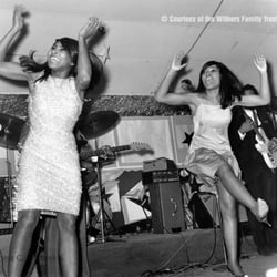 Withers Collection Museum & Gallery - Tina Turner performing in Memphis