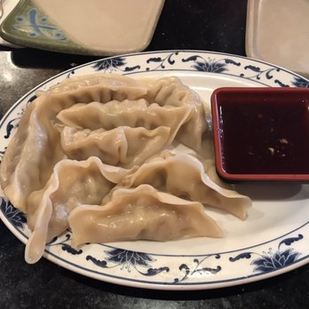 Tokyo - Dumplings - Japanese Near Me - Tampa, Florida