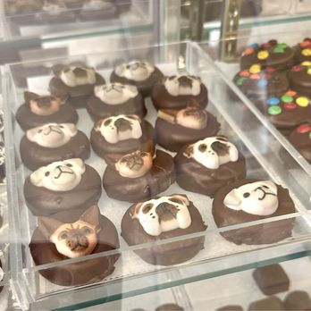 Pasticcini - Dogs! - Bakeries Near Me - Weymouth, Massachusetts