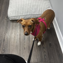 Got her nails did and a little butt squeeze. #selfcare Got her nails did and a little butt squeeze. #selfcare