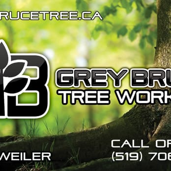 Grey Bruce Tree Workers - Tree Services Near Me - Tiverton, Ontario