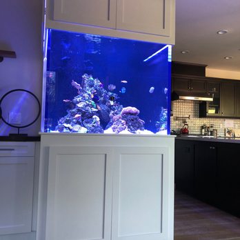 Reliant Aquarium Design - Aquariums Near Me - San Diego, California Reliant Aquarium Design - Aquariums Near Me - San Diego, California