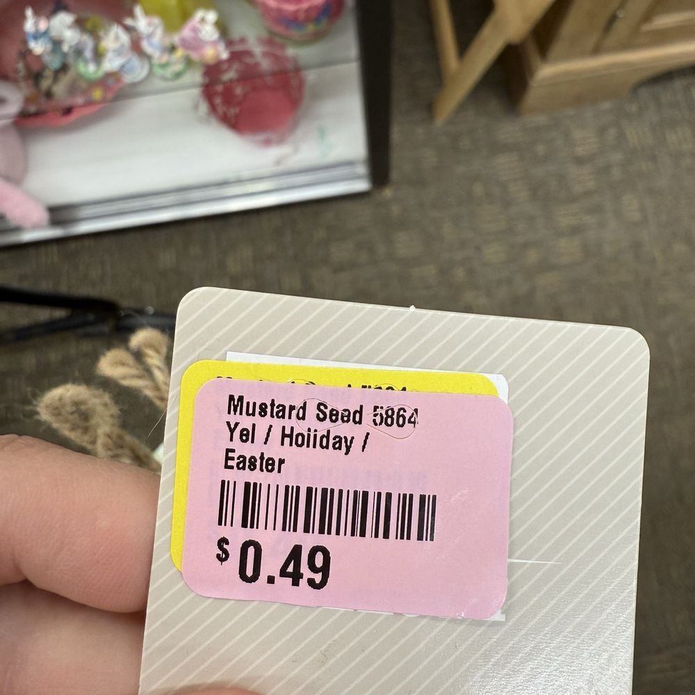 Mustard Seed - Thrift Stores Near Me - Deerwood, Minnesota