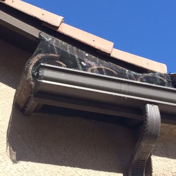 San Joaquin Pest Control - San Joaquin Pest Control closed up the areas on my roof where the pigeons were perching - Pest Control Near Me - Fresno, California San Joaquin Pest Control - San Joaquin Pest Control closed up the areas on my roof where the pigeons were perching - Pest Control Near Me - Fresno, California