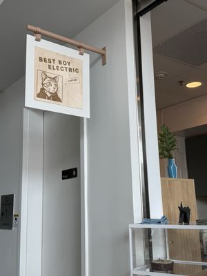 Best Boy Electric by null