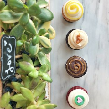 Dots Cafe - mini cupcakes (lemon, chocolate caramel, fleur de sel, red velvet) - Cafes Near Me - Pasadena, California Dots Cafe - mini cupcakes (lemon, chocolate caramel, fleur de sel, red velvet) - Cafes Near Me - Pasadena, California