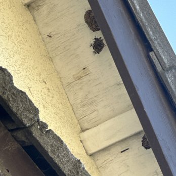 Brooks Pest Control - Pest Control Near Me - Corona, California