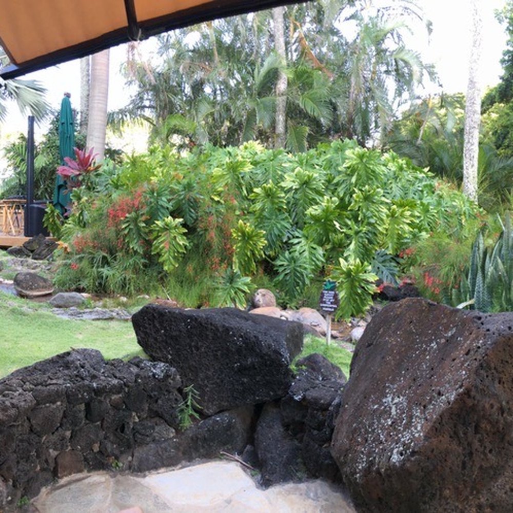 Keoki's Paradise - Seafood Near Me - Koloa, Hawaii Keoki's Paradise - Seafood Near Me - Koloa, Hawaii
