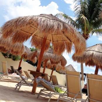 Dolphin Discovery Isla Mujeres - Tours Near Me - Isla Mujeres, ROO Dolphin Discovery Isla Mujeres - Tours Near Me - Isla Mujeres, ROO