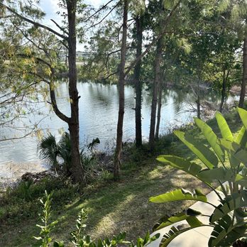 Astoria At Celebration - We have a nice lake with all kinds of wildlife. - Apartments Near Me - Kissimmee, Florida