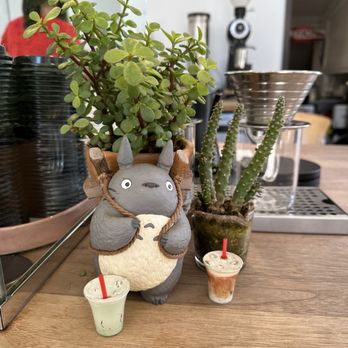 Tilt Coffee - Cute decor inside - Coffee & Tea Near Me - Los Angeles, California