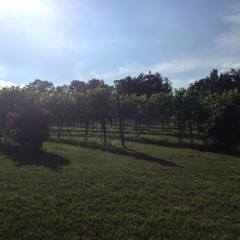 Mediterranean Cellars Winery - Wineries Near Me - Warrenton, Virginia