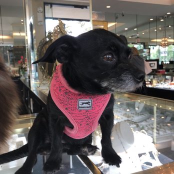 Simmons Jewelers - Jewelry Near Me - Winter Park, Florida