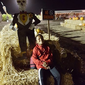 Cool Patch Pumpkins - Pumpkin Patches Near Me - Dixon, California