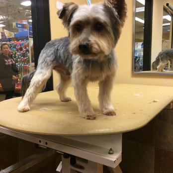 PetSmart - Pet Stores Near Me - San Leandro, California
