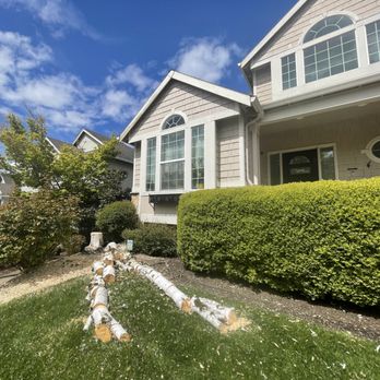 Legacy Tree Service - Tree Services Near Me
