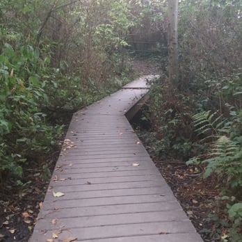 Howarth Park - Along the trail between the upper and lower park. - Parks Near Me - Everett, Washington