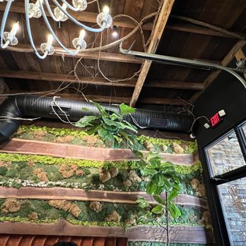 The Rabbit Hole - Tapas Bars Near Me - Greenville, South Carolina The Rabbit Hole - Tapas Bars Near Me - Greenville, South Carolina