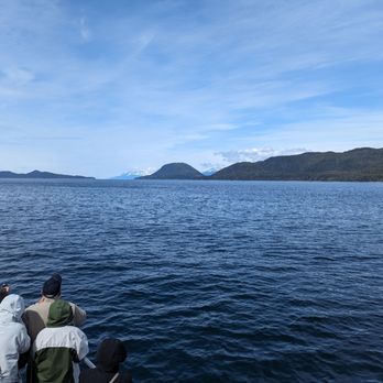 Alaska Tales - Whale Watching Tours Near Me - Juneau, Alaska Alaska Tales - Whale Watching Tours Near Me - Juneau, Alaska