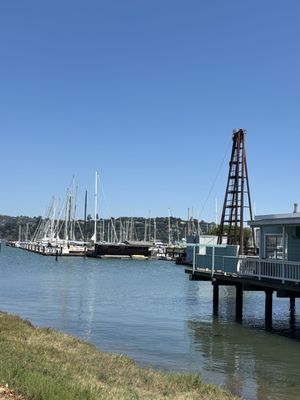 Gilligans Poke Shop by null