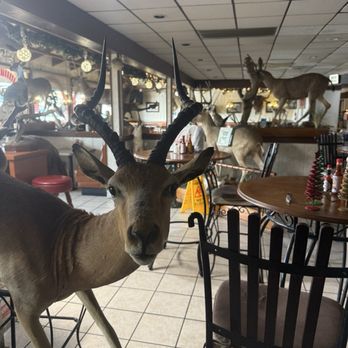 Casa Jimenez - Interior - Mexican Near Me - Barstow, California Casa Jimenez - Interior - Mexican Near Me - Barstow, California