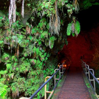 Shaka Braddah Tours - Entry to Nahuku (Thurston Lava Tube) - Bus Tours Near Me - Ocean View, Hawaii Shaka Braddah Tours - Entry to Nahuku (Thurston Lava Tube) - Bus Tours Near Me - Ocean View, Hawaii