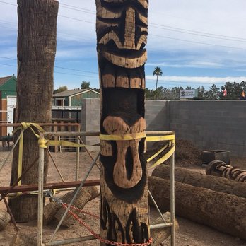 Tree Trimming - Tree Services Near Me - Tempe, Arizona