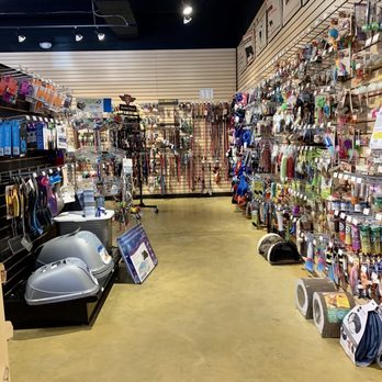 All Pets Considered - (Cat Side) Toy, Leash, and Food area. Fully stocked and organized! - Pet Stores Near Me - Greensboro, North Carolina All Pets Considered - (Cat Side) Toy, Leash, and Food area. Fully stocked and organized! - Pet Stores Near Me - Greensboro, North Carolina
