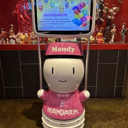Welcomed by a robot