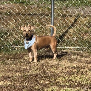 Palm Bay Fence - No more hunting for girlfriends at night! - Fences & Gates Near Me - Palm Bay, Florida Palm Bay Fence - No more hunting for girlfriends at night! - Fences & Gates Near Me - Palm Bay, Florida