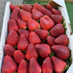 High Desert Farmers Market