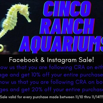 Cinco Ranch Aquariums - Aquarium Services Near Me - Katy, Texas