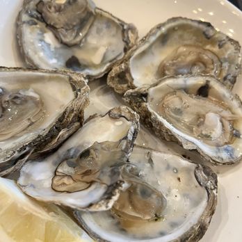 Palm Valley Fish Camp - Virginia Oyster. No substance. Would not get again. $10. Good price. - Seafood Near Me - Ponte Vedra Beach, Florida Palm Valley Fish Camp - Virginia Oyster. No substance. Would not get again. $10. Good price. - Seafood Near Me - Ponte Vedra Beach, Florida