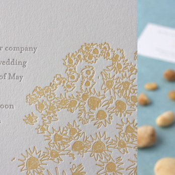 Albertine Press - Cards & Stationery Near Me - Cambridge, Massachusetts
