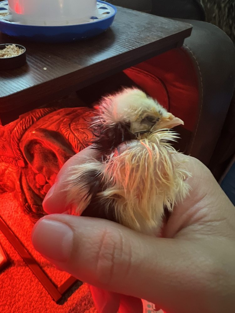 FARMERS FEED 23 Photos & 43 Reviews 1302 E Miner Ave, Stockton